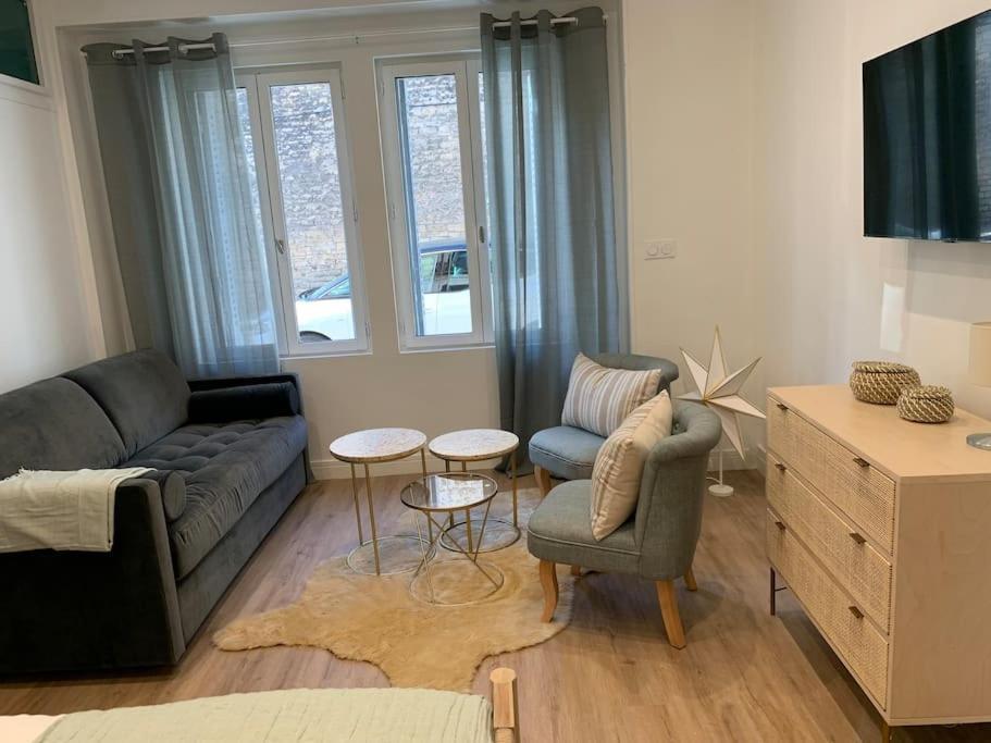 Appartement Chaleureux Dijon Ngoại thất bức ảnh